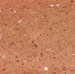 Portoalpha Porcelanatos & Revestimentos