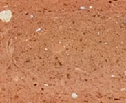 Portoalpha Porcelanatos & Revestimentos